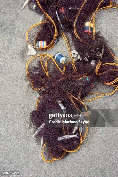 Fish Caught Rope Rope Reel Photos and Premium High Res Pictures - Getty Images