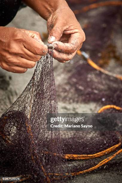 freshly caught fish in net. - fishing reel stock pictures, royalty-free photos & images