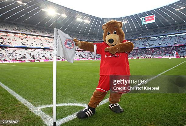 Mascot Berni of Bayern Muenchen poses prior to the Bundesliga match between FC Bayern Muenchen and FC Schalke 04 at Allianz Arena on November 7, 2009...
