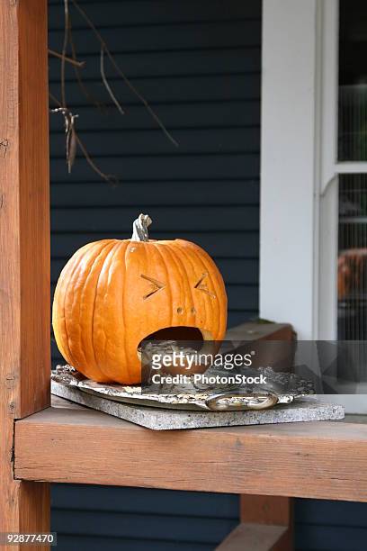 vomiting pumpkin - vomit stock pictures, royalty-free photos & images