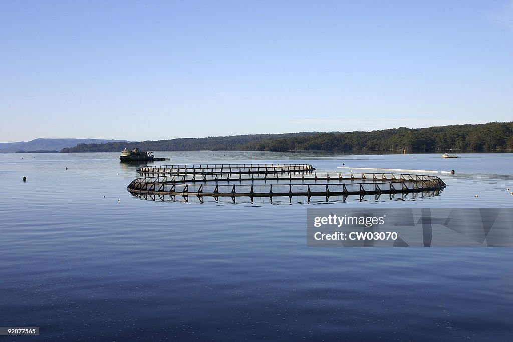 Aquaculture system on a calm and still lake