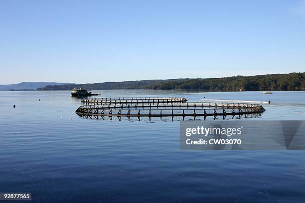 aquaculture system on a calm and still lake - fish farm stock pictures, royalty-free photos & images