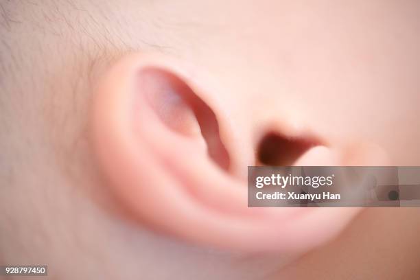 close-up of baby boys ear - earlobe 個照片及圖片檔
