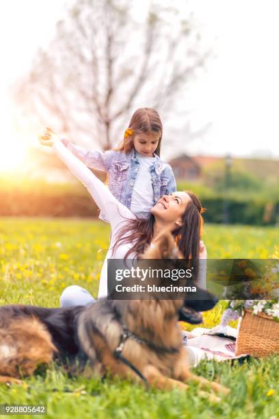 mother and daughter in nature - german shepherd stock pictures, royalty-free photos & images