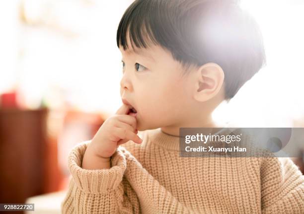 baby with finger in her mouth - thumb sucking stock pictures, royalty-free photos & images
