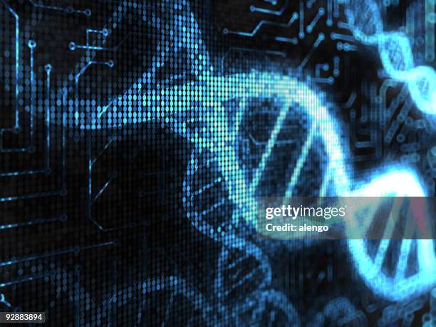 dna strands - dna helix stock pictures, royalty-free photos & images