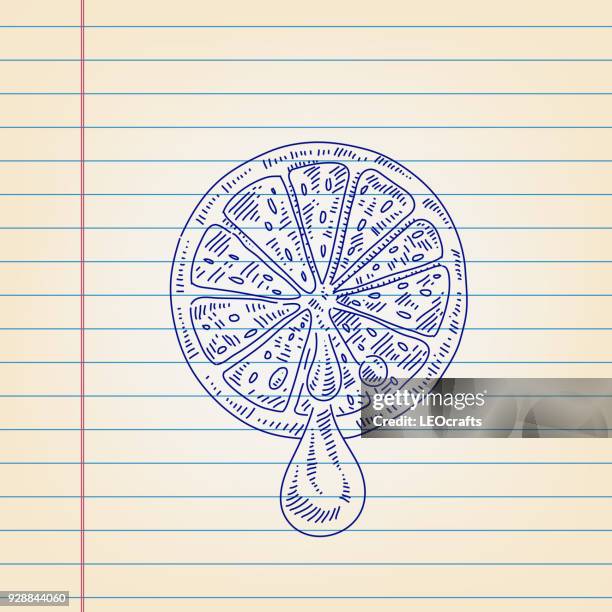 lemon slice drawing on lined paper - lime slice stock illustrations