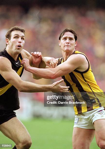 Brad Ottens for Richmond and Trent Croad for Hawthorn in action during round 14 of the AFL season match played between the Richmond Tigers and the...