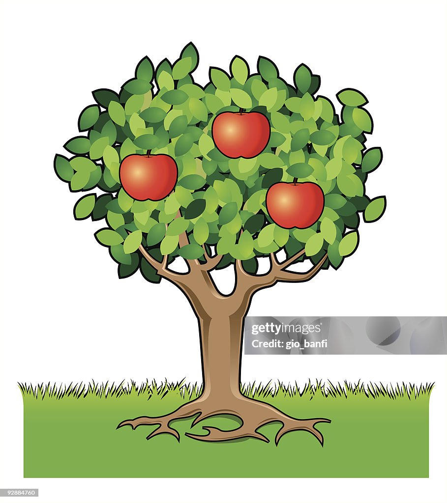 Apples tree