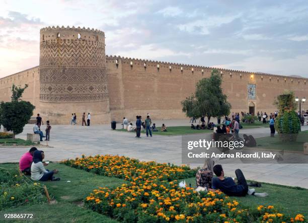 arg-e karim khan  castle, shiraz, iran - zand stock pictures, royalty-free photos & images