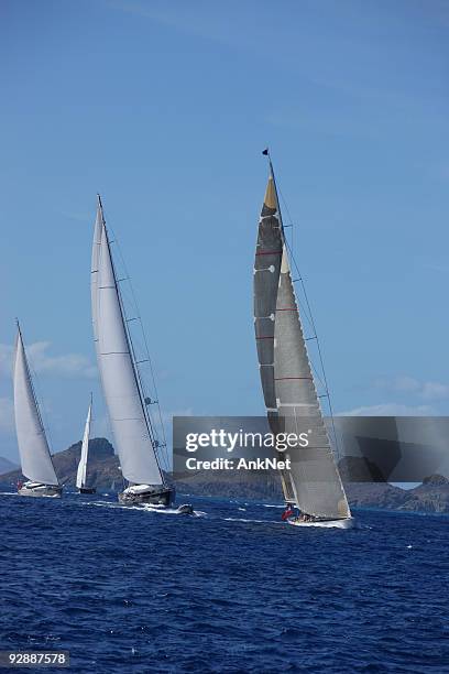 who is the winner? yachts in a line. - spinnaker stockfoto's en -beelden