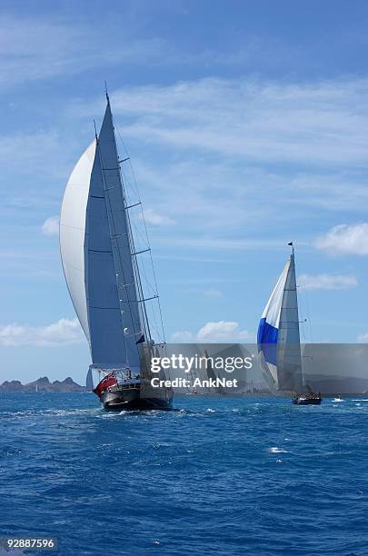 raising spinnakers for a smooth glide. - smooth sailing stock pictures, royalty-free photos & images