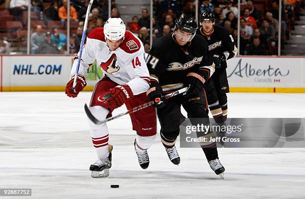 Taylor Pyatt of the Phoenix Coyotes and Joffrey Lupul of the Anaheim Ducks battle for the puck in the second period at the Honda Center on November...