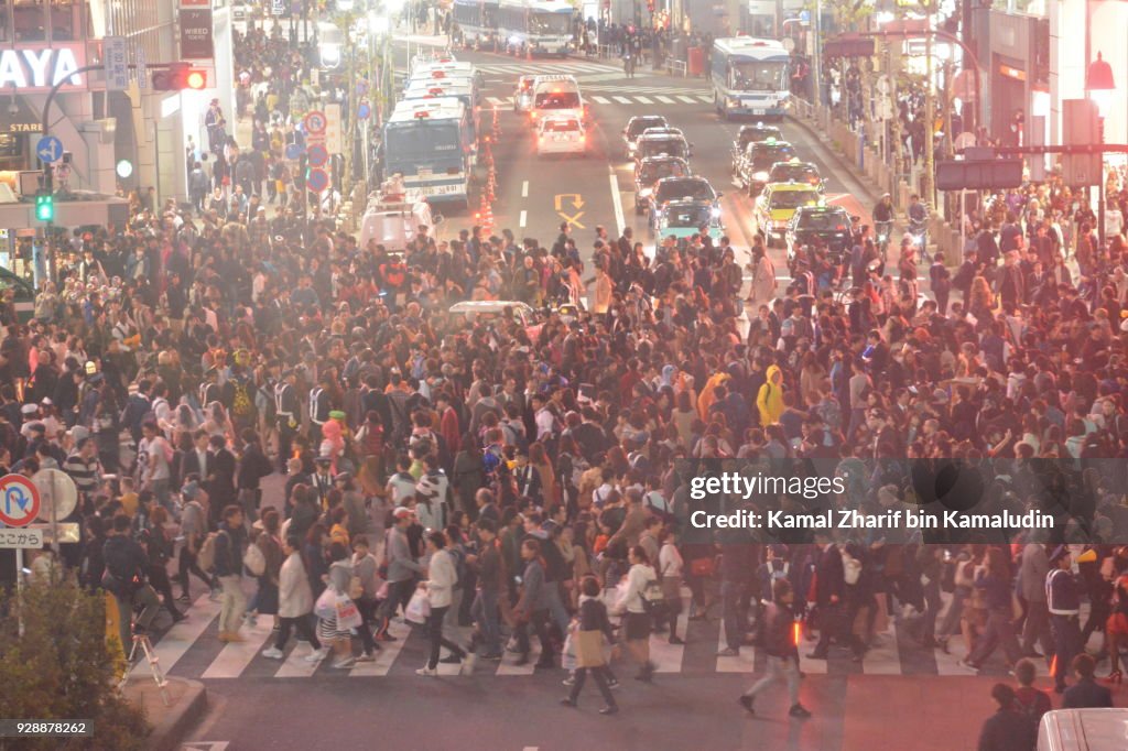 Shibuya scramble crossing