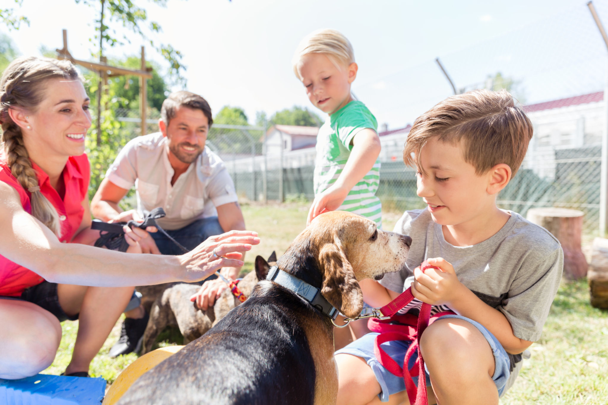 family at dog event