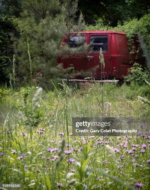 abandoned red van partly hidden behind undergrowth - abandoned car fotografías e imágenes de stock
