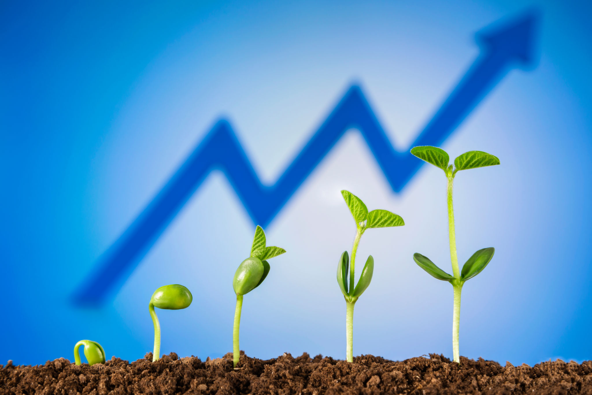 croissance PME