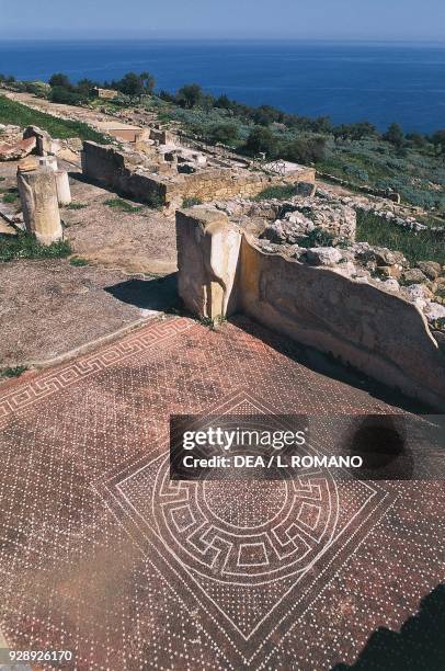 Mosaic floor of the Roman domus Casa del Cerchio in Mosaico, Archaeological site of Soluntum, Santa Flavia, Sicily, Italy, 1st century BC.