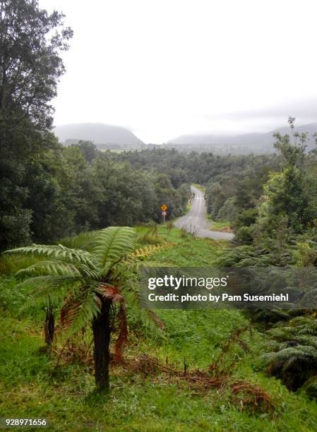 one-lane road in lush landscape, south island of new zealand - new zealand connected stockfoto's en -beelden