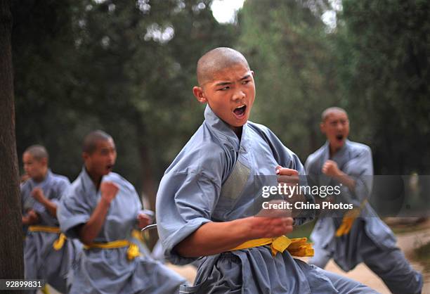 Slapi Shaolin Zhang Shaolin Photos and Premium High Res Pictures - Getty Images