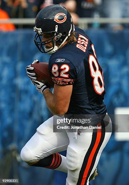 Greg Olsen of the Chicago Bears makes his first touchdown catch against the Arizona Cardinals at Soldier Field on November 8, 2009 in Chicago,...