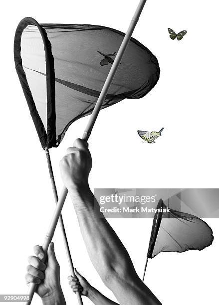 extra coverage - butterfly net stock pictures, royalty-free photos & images