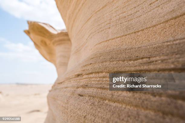 fossil dunes, al wathba, abu dhabi, united arab emirates - arabian resto foto e immagini stock