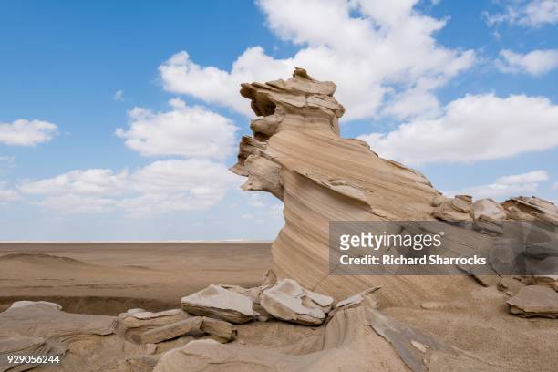 fossil dunes, al wathba, abu dhabi, united arab emirates - arabian resto foto e immagini stock