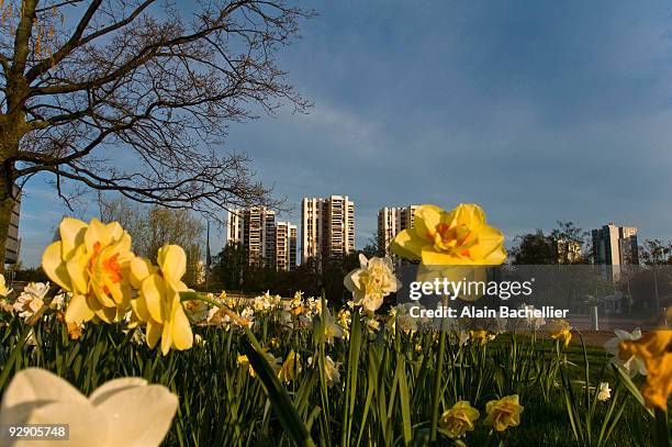 printemps en banlieue - alain bachellier stock pictures, royalty-free photos & images