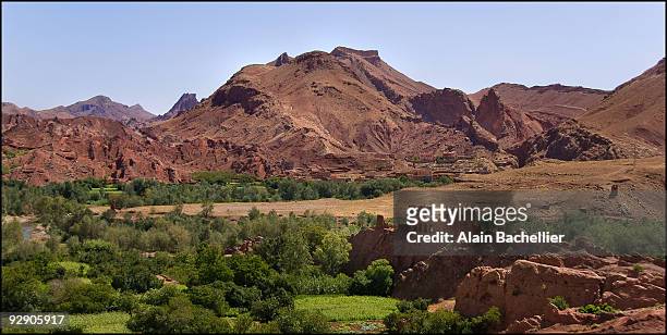 oasis et kasbah - alain bachellier stock pictures, royalty-free photos & images