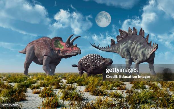 Triceratops, Ankylosaurus & Stegosaurus Herbivore Dinosaurs, From The Jurassic & Cretaceous Eras Of Time.