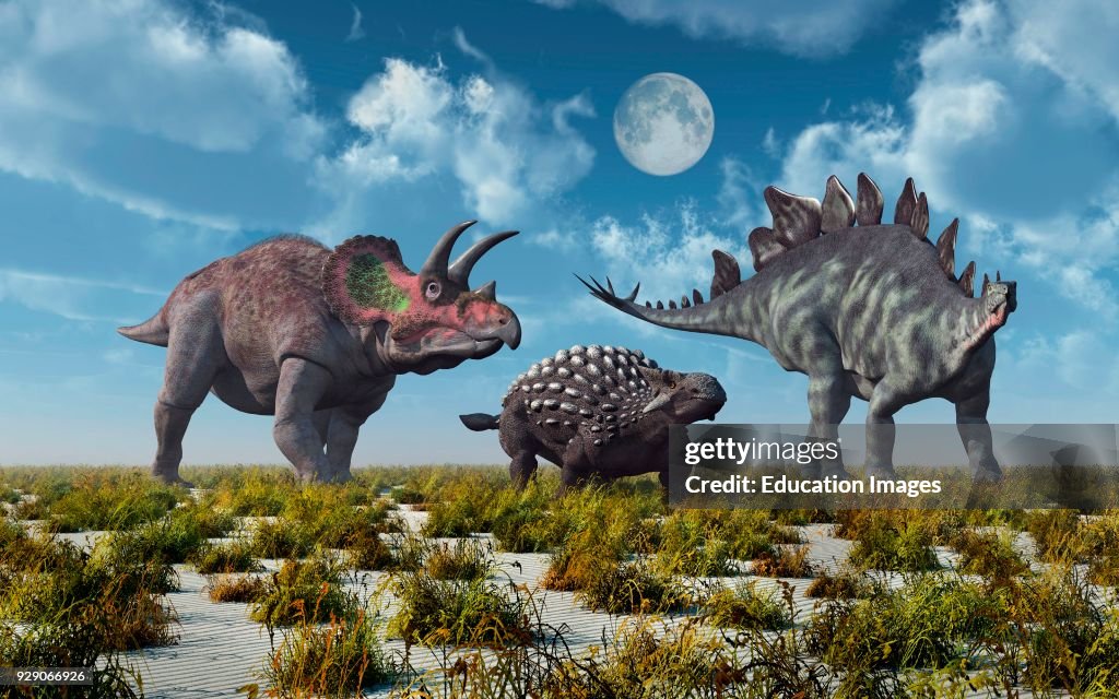 3 Different Species Of Herbivore Dinosaurs.
