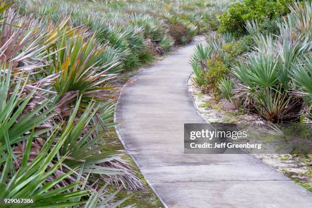 Coastal nature trail through Loggerhead Park.