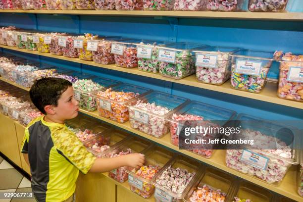 Boy looking at candy in Zeno's Boardwalk Sweet Shop.