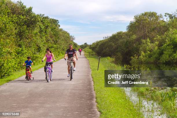 Family riding their bikes on the Tram Tour Trail at Everglades National Park.