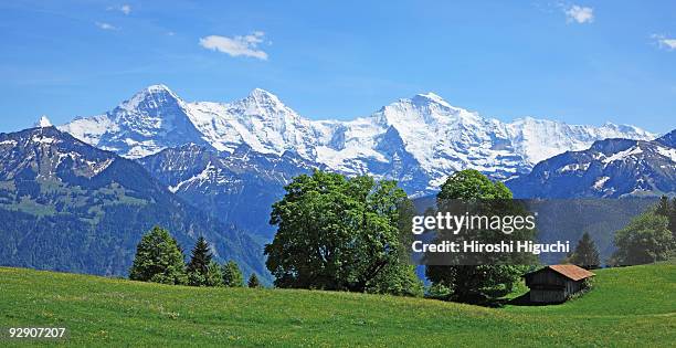 swiss alps - eiger mönch jungfrau stockfoto's en -beelden