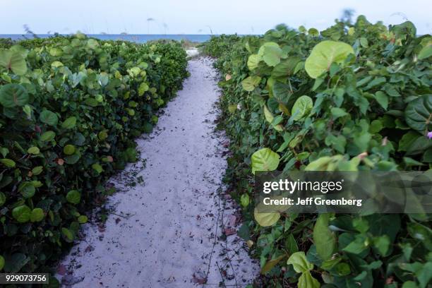 Sand path to Vero Beach.