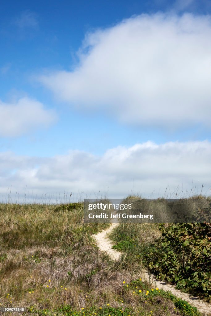 A natural sand dune at Sebastian Inlet State Park.