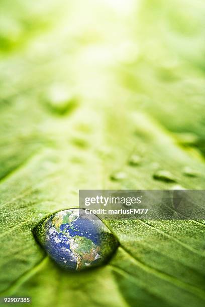 recovery - earth concept - water globe stock pictures, royalty-free photos & images