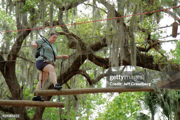 Canopy Rope Bridge 123 Rope Bridge Aerial Stock Photos, High-Res Pictures, and Images ...