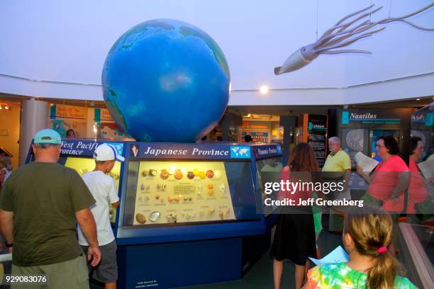 Shell Exhibition Photos and Premium High Res Pictures - Getty Images