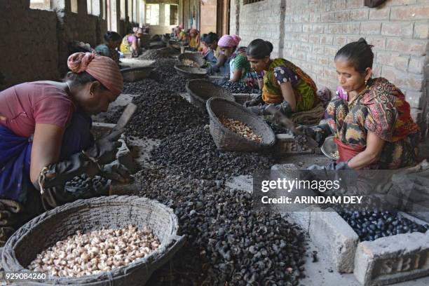 Indian women work at a cashew processing factory during International Women's Day in Agartala, the capital of northeastern state of Tripura on March...