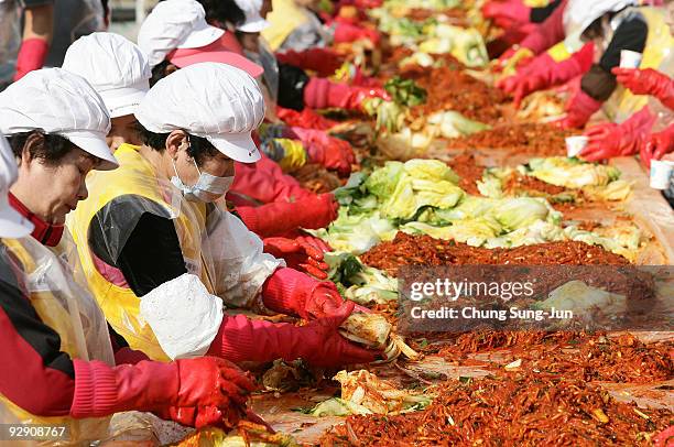 South Korean women make 'kimchi', a traditional pungent vegetable dish, which is donated to the poor in preparation for winter on November 9, 2009 in...