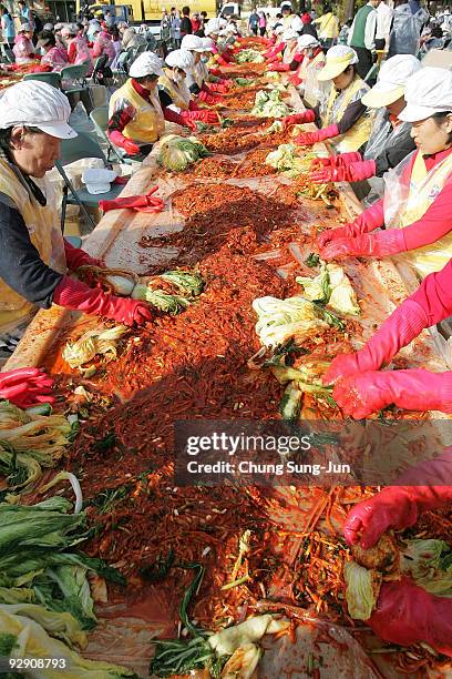 South Korean women make 'kimchi', a traditional pungent vegetable dish, which is donated to the poor in preparation for winter on November 9, 2009 in...