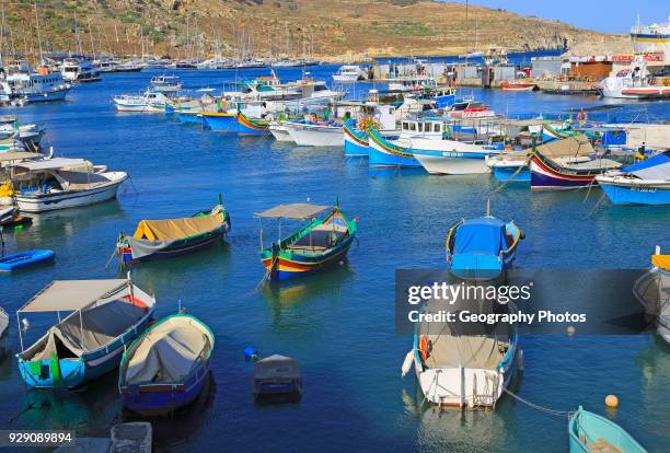 Colorful fishing boats in the harbor at port of Mgarr, island of Gozo, Malta.