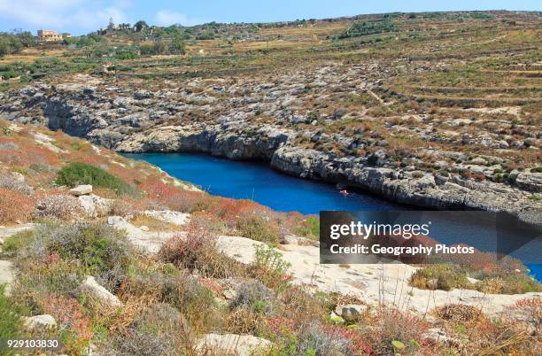 Limestone barrique vegetation Mgarr ix-Xini coastal inlet, island of Gozo, Malta.