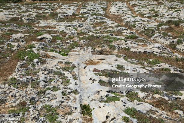 Misrah Ghar il-Kbir, Clapham Junction, prehistoric cart ruts tracked over rocky limestone surface, Siġġiewi, Malta.