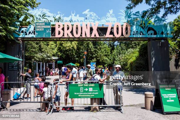 New York City, Bronx Zoo, entrance ticket taker.