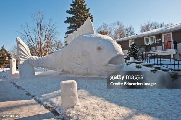 1,318 Minnesota Fish Stock Photos, High-Res Pictures, and Images ...