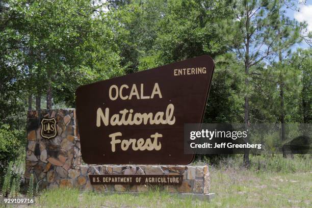 Ocala National Forest entrance sign.